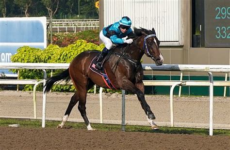 Trainer Lim stays in full Command to the very end, Latest Racing .
